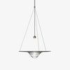 Modern Clear Glass Pendant Light with Integrated LED and Brass Hardware for Dining Room