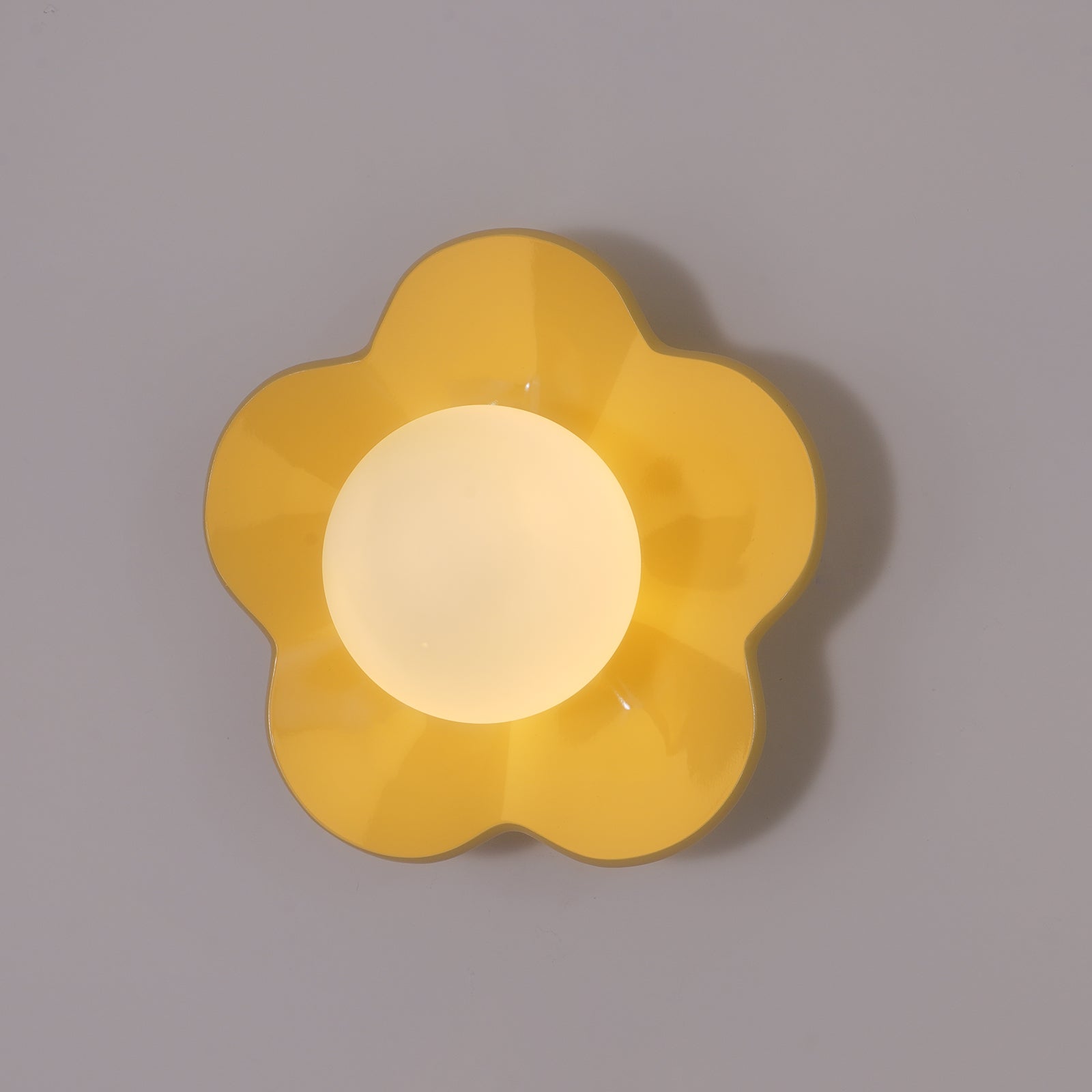 Modern Floral Resin Wall Sconce and Glass Ceiling Lamp for Indoor Lighting
