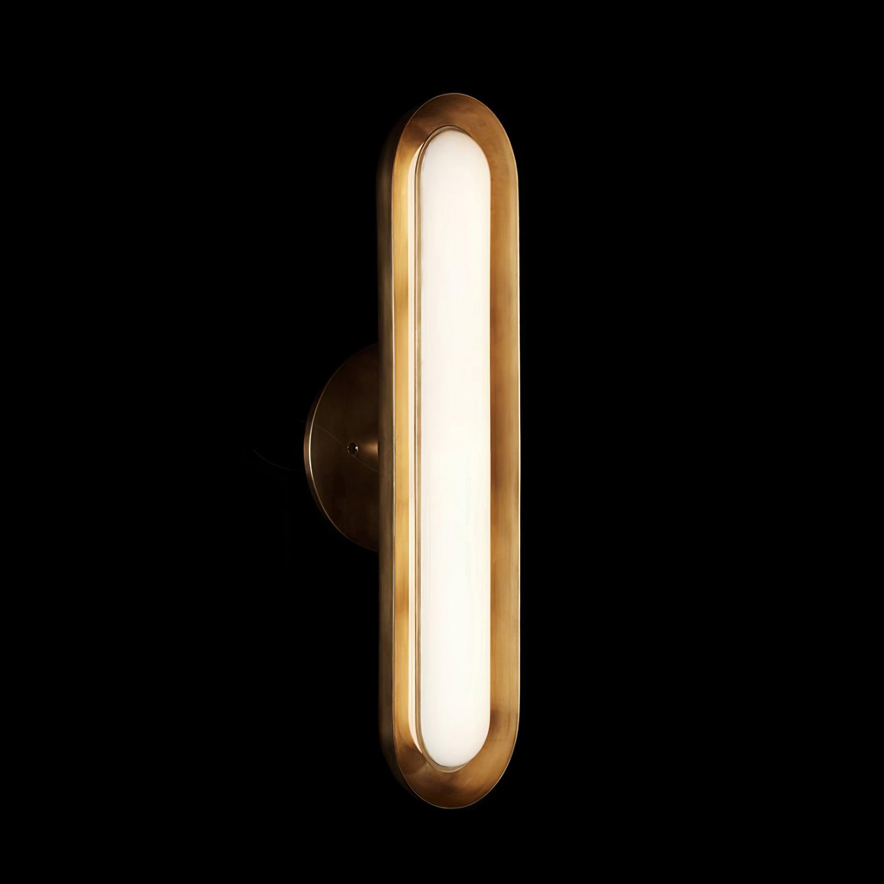 Modern Frosted Glass Capsule LED Wall Sconce and Ceiling Light Set of 2 in Metal Finish