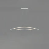 Modern Geometric Hyperbola LED Pendant Light with Adjustable Three Color Temperature