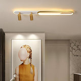 Modern Geometric LED Ceiling Light with Adjustable Spotlight for Living Room and Bedroom