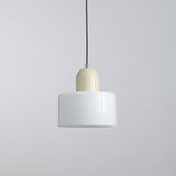 Modern Glass Globe Pendant Lamp Minimalist Spherical Hanging Light for Living Room