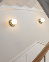 Modern Glass Globe Wall Sconce and Ceiling Lamp with Brass Metal Disc for Elegant Interior Decor