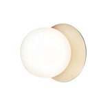 Modern Glass Globe Wall Sconce and Ceiling Lamp with Brass Metal Disc for Elegant Interior Decor