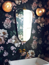 Modern Glass Globe Wall Sconce and Ceiling Lamp with Brass Metal Disc for Elegant Interior Decor