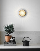Modern Glass Globe Wall Sconce and Ceiling Lamp with Brass Metal Disc for Elegant Interior Decor