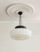 Modern Glass Pendant Ceiling Light Fixture for Living Room Dining Area and Foyer