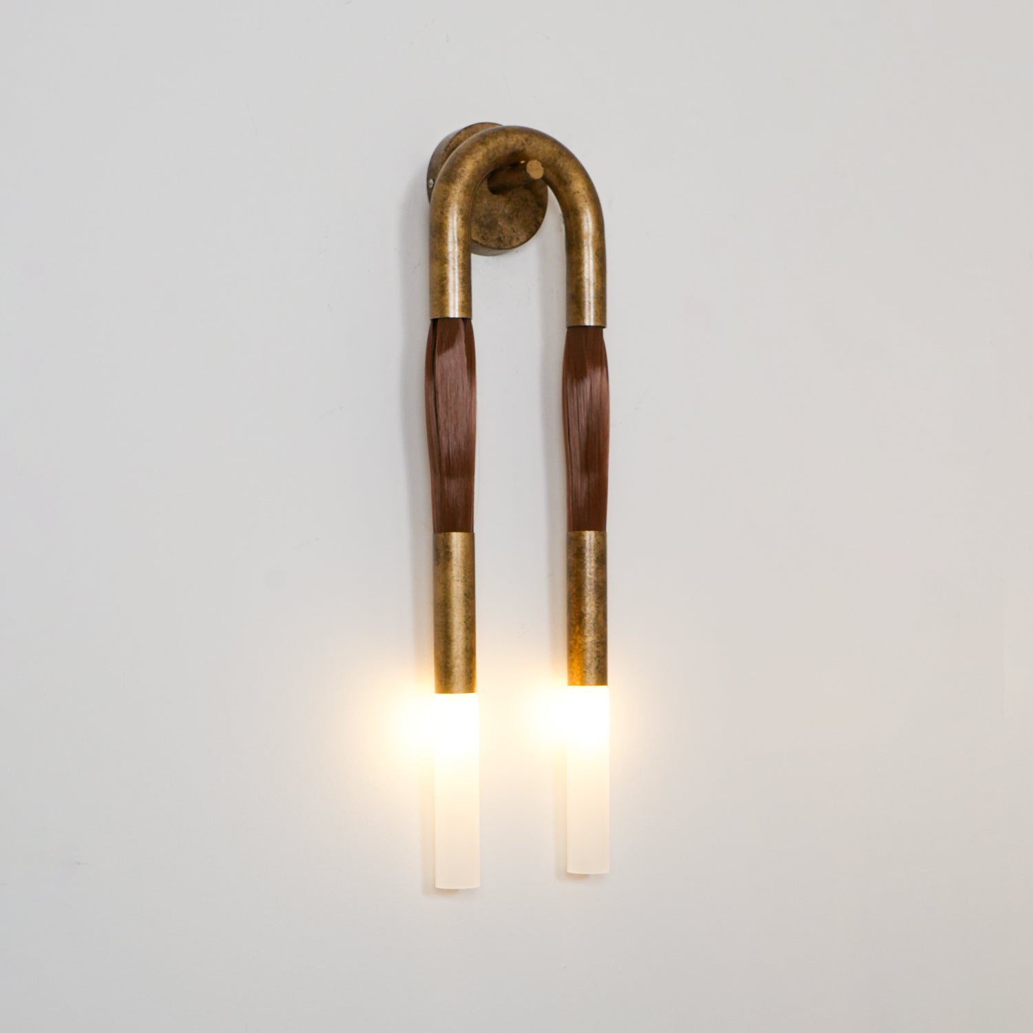 Modern Horsehair Tassel Wall Lamp with G9 LED Sconce and Elegant Glass Shade