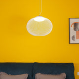 Modern Latticed Metal Mesh Pendant Light with Integrated LED for Living Room and Dining Areas