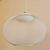 Modern Latticed Metal Mesh Pendant Light with Integrated LED for Living Room and Dining Areas