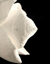 Modern Magnolia Flower Wall Sconce Set with Handcrafted Cotton Paper Petals