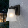 Modern Matte Black Outdoor Wall Light with Frosted Glass Shade and Dusk to Dawn Sensor