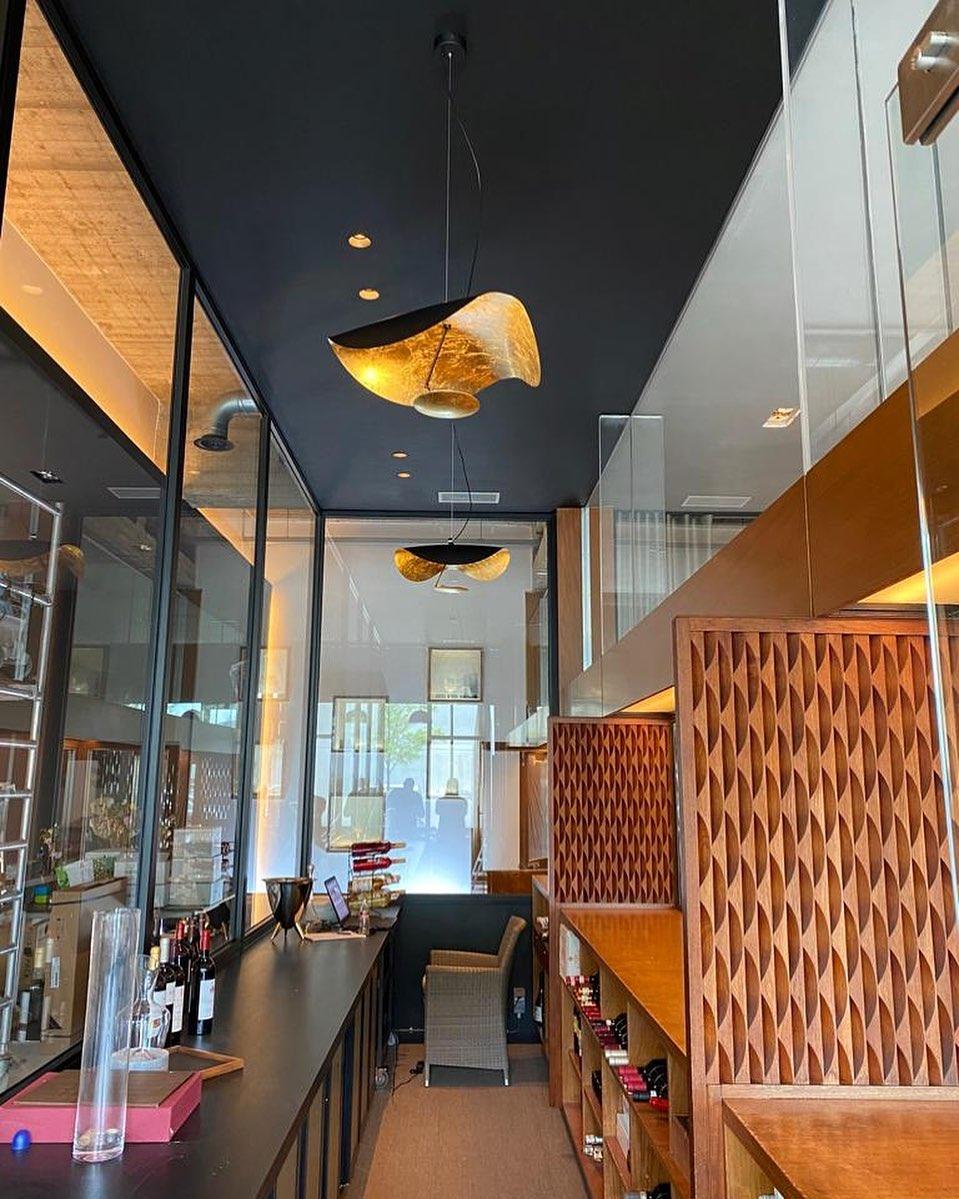 Modern Minimalist Giorgio Curving Disc LED Pendant Light with Adjustable Hanging Height