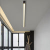 Modern Minimalist Linear LED Strip Ceiling Light Dimmable Flush Mount with Remote Control