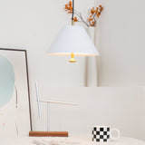 Modern Minimalist Pendant Ceiling Light Fixture with Adjustable Cable and Metal Shade