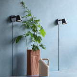 Modern Minimalist Plug In LED Wall Sconce with Adjustable Head and Inline Switch
