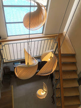 Modern Nautilus Shell Wooden Pendant Lamp Organic Spiral Coastal Hanging Light