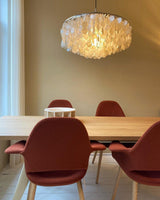 Modern Round Shell Pendant Light Coastal Chandelier for Living Room and Bedroom