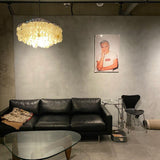 Modern Round Shell Pendant Light Coastal Chandelier for Living Room and Bedroom