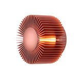 Modern Round Sunflower LED Wall Sconce Creative Aluminum Decorative Indoor Light Fixture