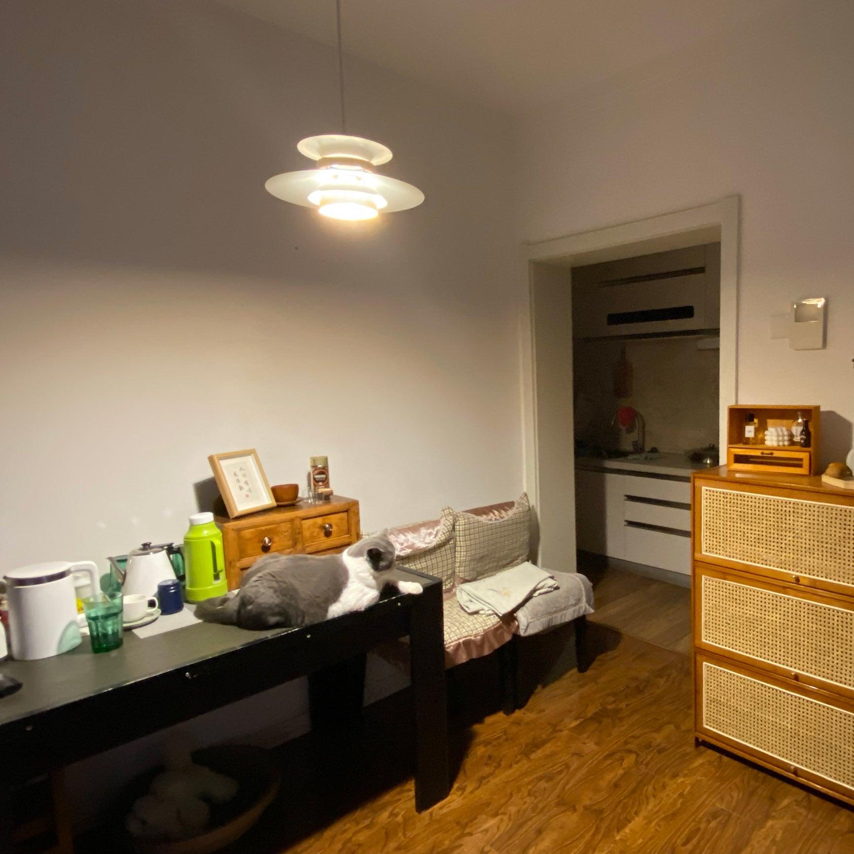 modern-scandinavian-multi-layer-pendant-lamp-with-wood-detailing-for-bedroom-and-dining