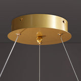 Modern Sendra LED Mesh Chandelier Black and Brass Circular Linear Pendant Light