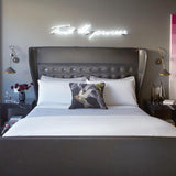 Modern Shear Wall Mounted Sconce Hardwired Focused Task Light for Bedside and Interior Decor