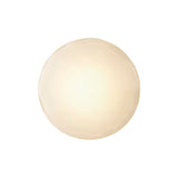Modern Textured Glass Shell Wall Sconce for Bedroom Bedside and Study Lighting
