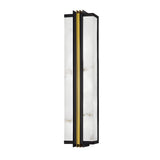 Modern Waterproof LED Exterior Wall Sconce with Black Finish and Resin Marble Texture Shade