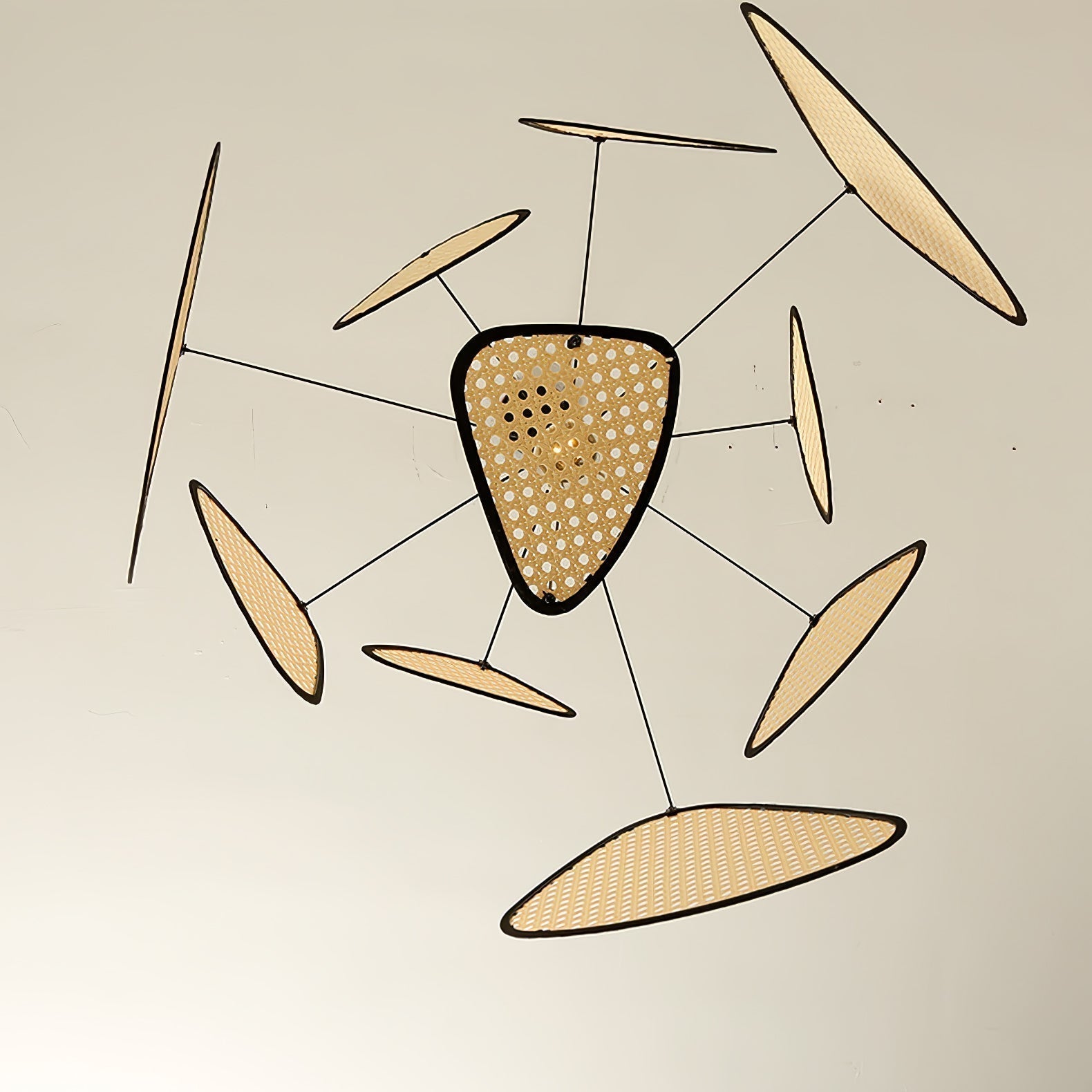 Natural Bamboo Screen Cannage Rattan Chandelier Retro Industrial Suspension Light