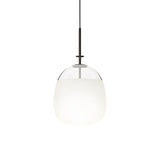 Nordic Black Iron and Glass LED Pendant Light Modern Creative Hanging Chandelier for Dining Room Kitchen