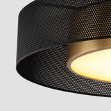 Modern Round Dimmable LED Ceiling Light with Remote Control Nordic Flush Mount Lamp 18 Inch