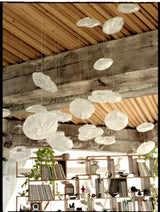 Organic Blown Glass Multi Head Pendant Light for Modern Entryway and Dining Spaces