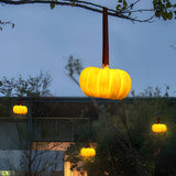 Portable Resin Pumpkin LED Outdoor Lantern with USB Charging and Leather Handle for Garden Decor