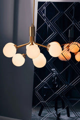 modern-apiales-glass-globe-chandelier-flower-inspired-pendant-light-for-dining-room