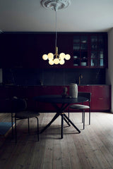 modern-apiales-glass-globe-chandelier-flower-inspired-pendant-light-for-dining-room