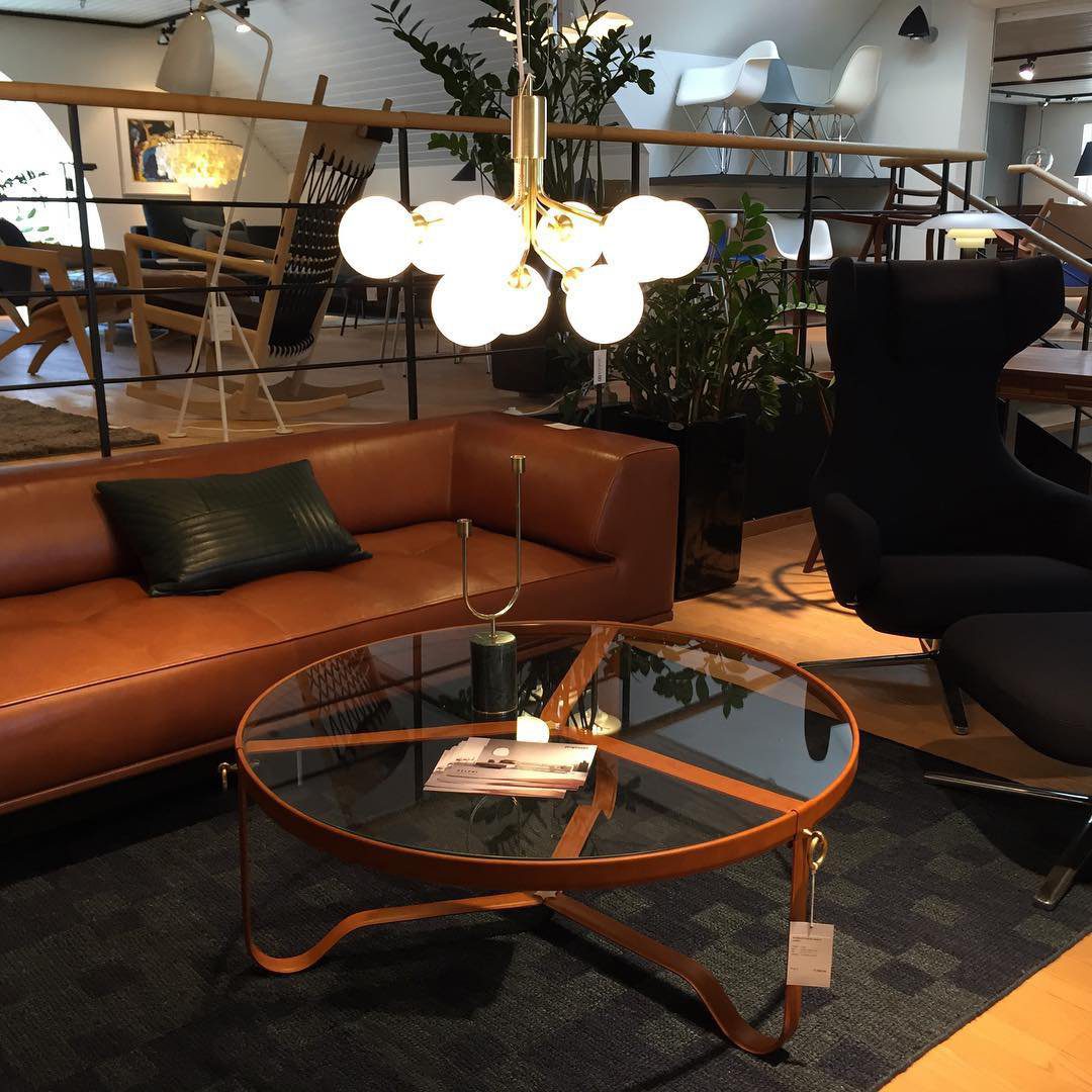 modern-apiales-glass-globe-chandelier-flower-inspired-pendant-light-for-dining-room