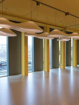 Rice Field Acoustic Pendant Light Modern Acrylic LED Ceiling Lamp for Interior Decor