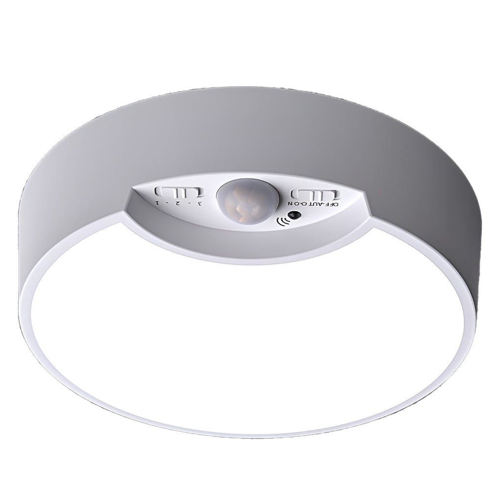 LED Round Motion Sensor Ceiling Lamp Battery Powered Flush Mount Light with Remote Control