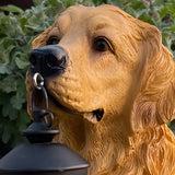Solar Powered Animal Garden Statues Resin Dog Outdoor Decor with Detachable LED Lantern