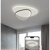 Geometric Rounded Triangle Flush Mount LED Ceiling Light Modern Acrylic Fixture