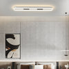 Modern Rounded Rectangular Flush Mount Ceiling Light with 3 Step Color Temperature