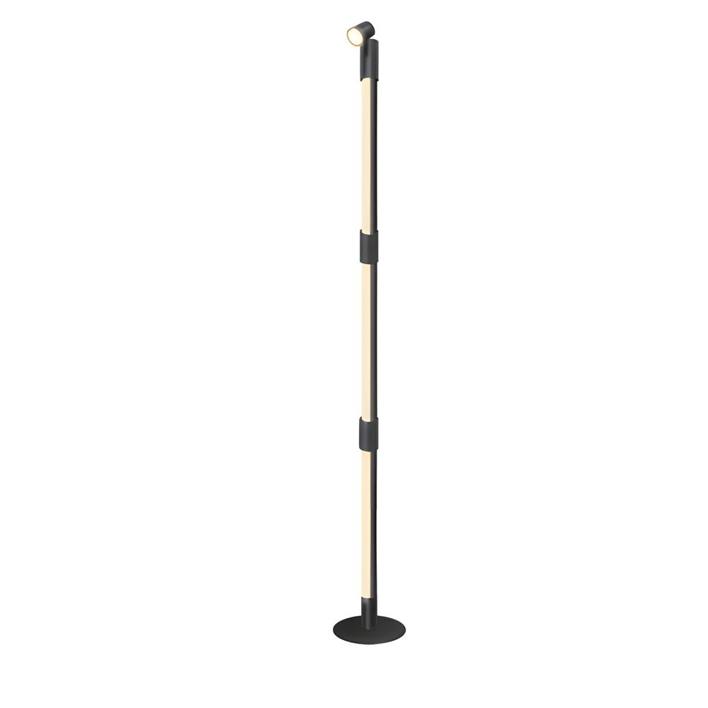 Modern RGB LED Rotating Floor Lamp with Integrated Spotlight and Remote Control for Ambient Lighting