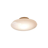 Contemporary Minimalist White Glass LED Ceiling Lamp for Bedroom and Dining Areas