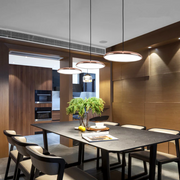 Allo Living Modern Chic Cookie Pendant Light