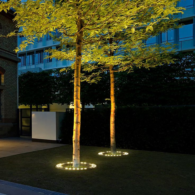 Elegant Outdoor Tree Highlight Spotlight
