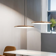 Allo Living Modern Chic Cookie Pendant Light