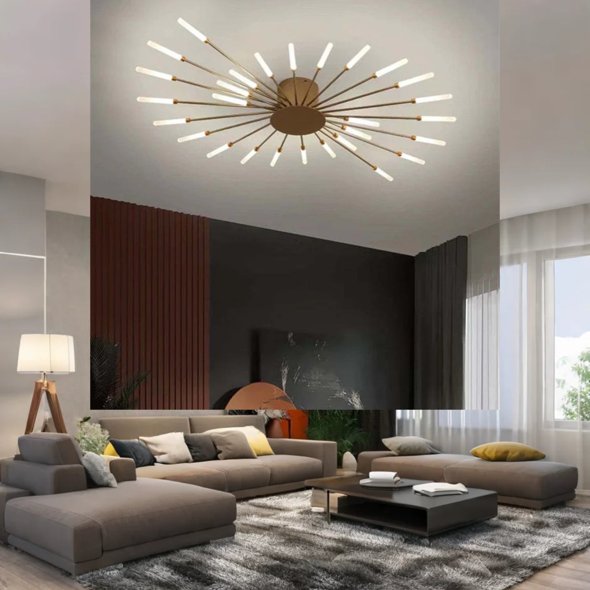 Fireworks Ceiling Lights