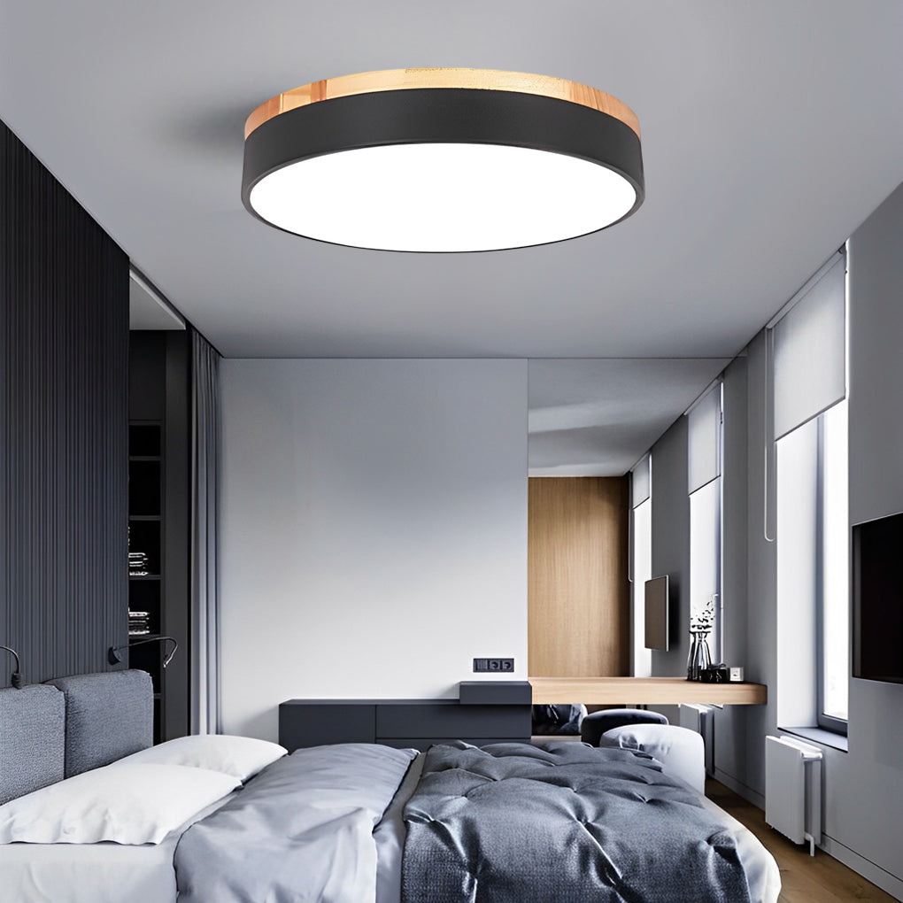 12 Inch Minimalist Round LED Flush Mount Ceiling Lamp for Modern Home Lighting