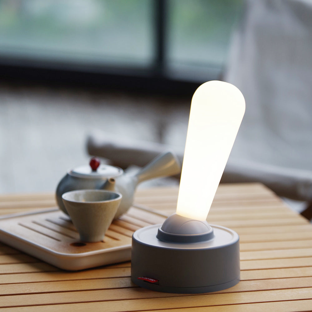 Modern LED Bedside Table Lamp USB Rechargeable Night Light with Toggle Switch Control